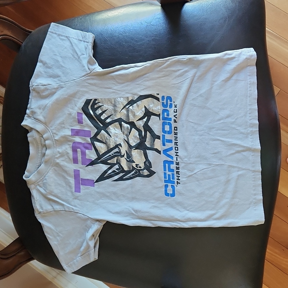 Copper unisex tshirt size 7 gray with metalic silver dinosaur